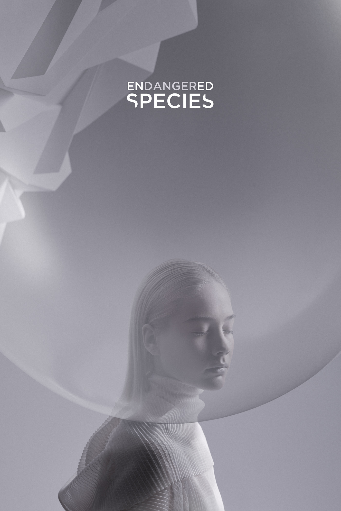 SPLASH 2020 Calendar Endangered Species